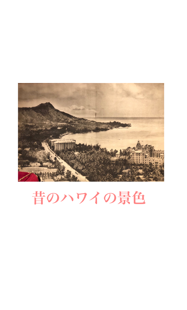 ハワイ ワイキキ の昔の景色 ジャングルだらけ Pipuamelia ピプアメリア